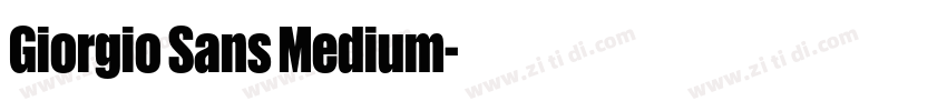 Giorgio Sans Medium字体转换